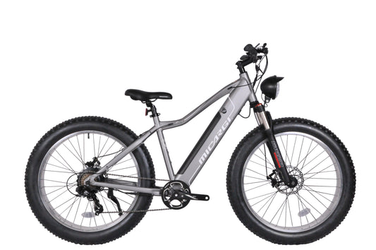 Micargi Steed Electric Mountain Bicycle